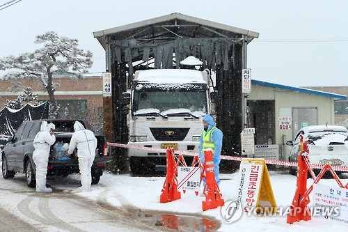 '방역 철저' 고창 구제역 발생 농가     (고창=연합뉴스) 김진방 기자 = 14일 오전 전북 고창군 무장면 구제역 발생 돼지 농가에서 방역요원들이 출입을 통제하고 방역을 하고 있다. 전북에서는 김제에 이어 고창에 두번째 구제역이 발생했다. 2016.1.14.DB.     chinakim@yna.co.kr