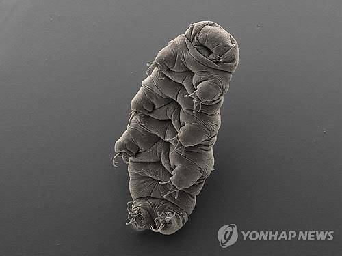 남극 얼음 밑 심해엔 이런 생물도