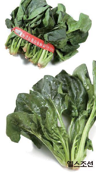 [헬스조선]시들어가는 시금치 → 시금치를 50℃ 물에서 씻으니 싱싱해졌다.