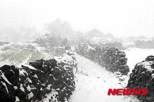 【제주=뉴시스】 고동명 기자= 제주에 대설특보가 내린 23일 제주시 애월읍 한 시골 마을 돌담길에 매서운 눈보라가 치고 있다.2016.01.23.   kdm80@newsis.com