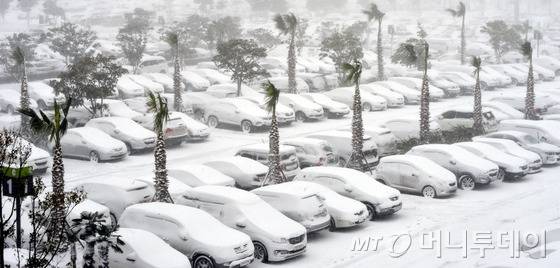 최강 한파로 제주공항에서 항공기 운항이 잠정 중단된 24일 제주국제공항 주차장에 많은 차량들이 눈을 뒤집어 쓰고 있다./뉴스1