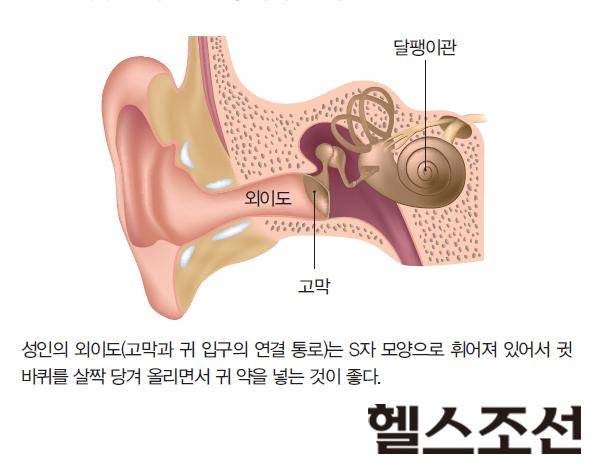 [헬스조선]