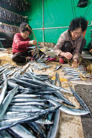 [월간산]아침부터 소일거리 삼아 통마리과메기 엮기에 열심인 삼정리마을의 할머니들.