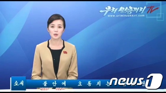 (우리민족끼리TV 캡처) © News1
