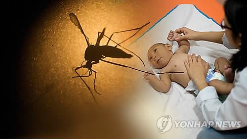 <<연합뉴스TV 제공>>