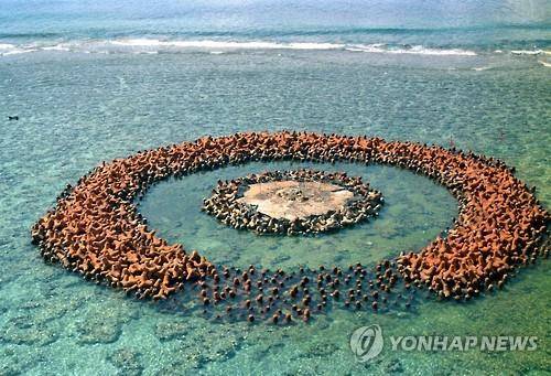 1988년 8월 콘크리트를 덧씌우는 도중인 오키노토리시마의 모습.(교도=연합뉴스 자료사진)