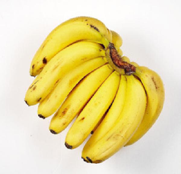 [헬스조선]변비에 좋은 음식은 고구마가 대표적이다. 덜 익은 바나나는 오히려 변비를 악화시킬 수 있다./사진=조선일보 DB