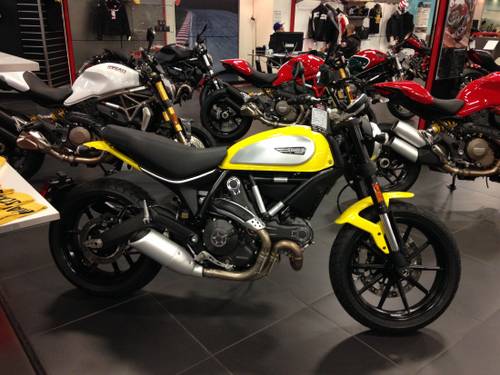 갑자기 레모나가 먹고 싶어집니다