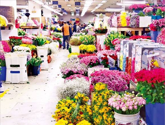 꽃소비가 줄면서 졸업시즌에도 서울 양재동 꽃시장이 썰렁하다. 김병언 기자 misaeon@hankyung.com