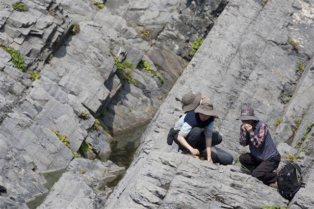 최덕근 서울대 지구환경과학부 명예교수(맨 오른쪽)가 후학들과 함께 지질조사를 하고 있다. 그는 암석과 화석을 요리한다는 뜻을 담아 스스로 “삼엽충을 요리하는 사람”이라 말한다. 휴머니스트 제공