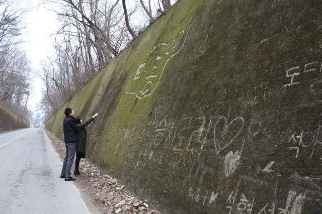 한 쌍의 연인이 적성 이끼터널에서 옹벽에 빼곡히 새겨진 ‘사랑의 흔적’을 훑어보고 있다. 거뭇거뭇한 벽면의 이끼는 우기가 되면 파릇파릇 되살아난다. 위쪽의 나무들이 무성해지면 하늘을 가려 터널이 된다. 단양=한덕동기자