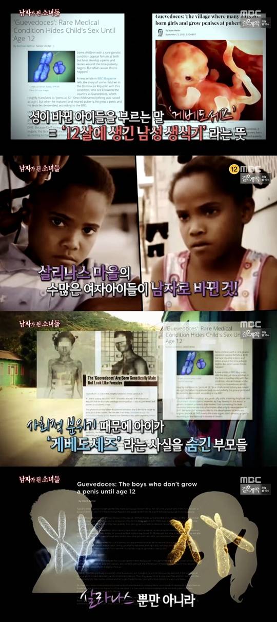 서프라이즈 게베도세즈 살리나스