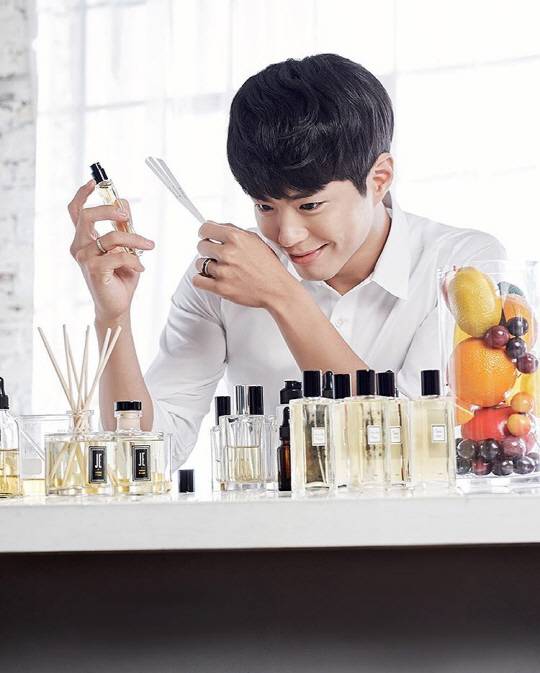 박보검