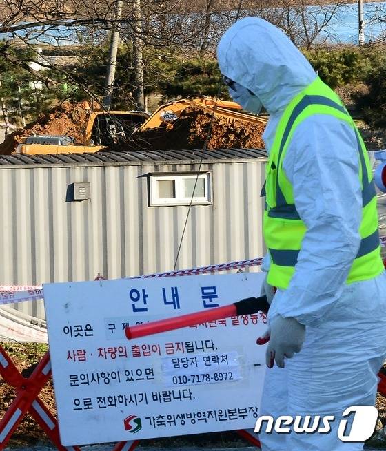 충남 공주시에서 구제역 의심신고가 접수된 지난 2월17일 살처분을 위한 땅파기 작업이 이뤄지고 있다. © News1 장수영 기자