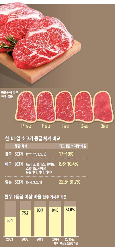 이미지를 클릭하시면 그래픽 뉴스로 크게 볼 수 있습니다 / 조선닷컴