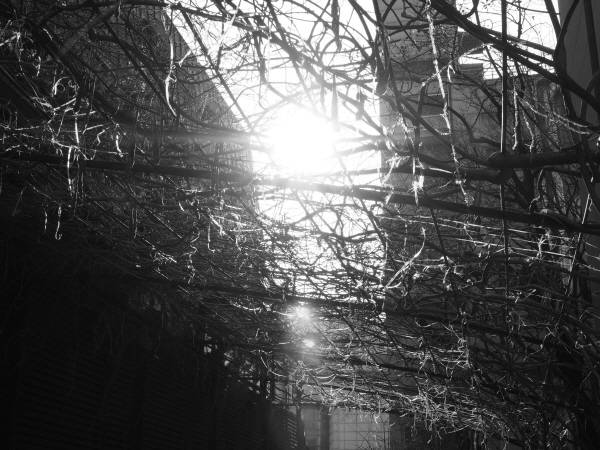 올림푸스 'PEN-F' 촬영 결과물