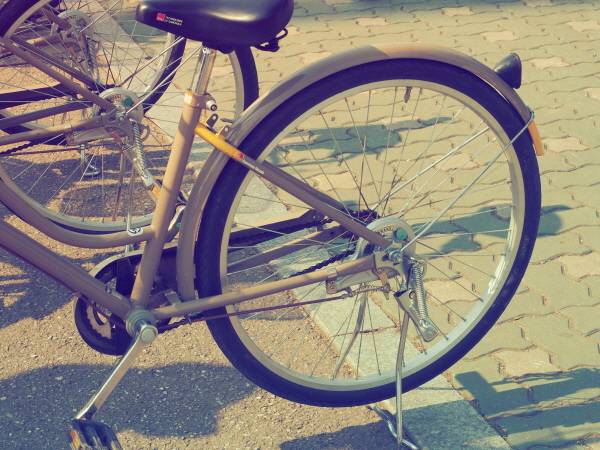 올림푸스 'PEN-F' 촬영 결과물