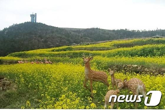 전남 고흥군은 오는 9일부터 17일까지 우주발사전망대 일원에서 봄꽃 힐링 트레킹 행사를 개최한다고 5일 밝혔다.(고흥군 제공)2016.4.5/뉴스1 © News1 지정운 기자