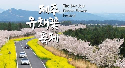 사진=제주유채꽃축제 홈페이지