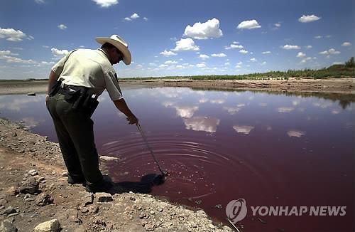 2011년 8월 미국 텍사스주 샌앤젤로의 O.C. 피셔 호숫가에서 주립공원경찰이 무더위와 가뭄, 적조로 붉게 변한 호수를 살피고 있다. (AP=연합뉴스)