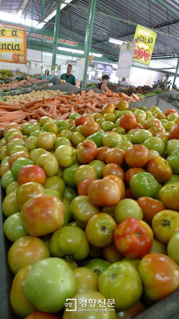 벨루오리존치 산타루지아에 있는 ABC마켓. ABC마켓에선 20개 식료품을 1kg당 0.99헤알에 판다. 다른 상품도 시중가보다 싸다. 벨루오리존치(브라질)| 정희완 기자 roses@kyunghyang.com