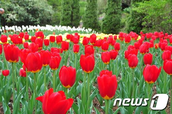 청양 고운식물원. 이지민 작가 © News1