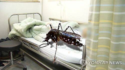 [연합뉴스TV 캡처]