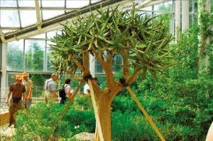 한택식물원 남아프리카 온실