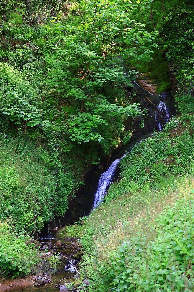 오래전 위스키를 만드는 물로 썼던 글렌고인 증류소의 폭포.