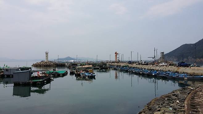 가덕신공항 후보지인 대항마을의 항구 전경. 부산/김영동 기자