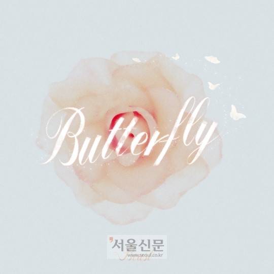 비스트 버터플라이