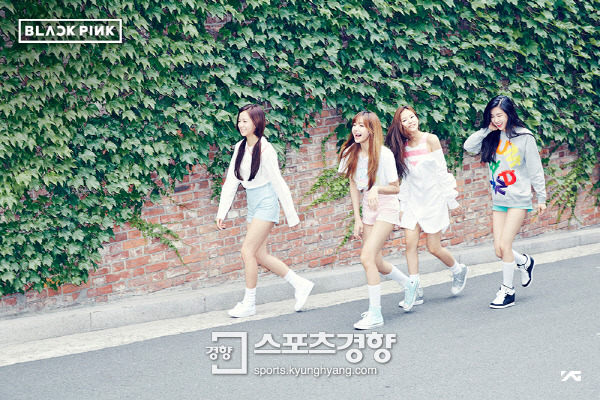 블랙핑크