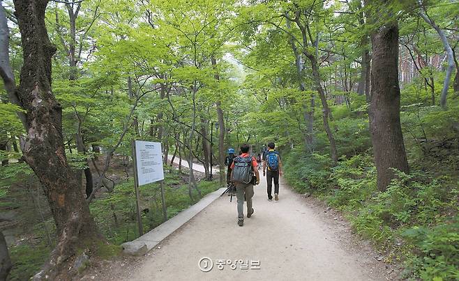 연산폭포 가는 길. 아이들도 다닐 수 있을 정도로 잘 닦여 있다.