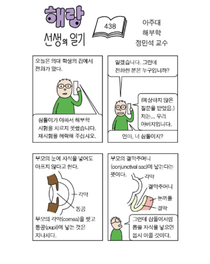 정민석 교수가 그린 네 컷 만화. / 사진=정민석 교수 트위터 캡쳐