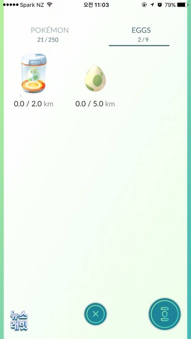 포케스톱에서 획득한 포켓몬알이 부화를 기다리고 있다(위에 표시된 수치만큼 걸어야 포켓몬 알이 부화한다) = 뉴스래빗 독자 제공