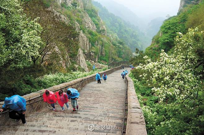 7412개 돌계단을 오르면 타이산 정상에 다다른다.