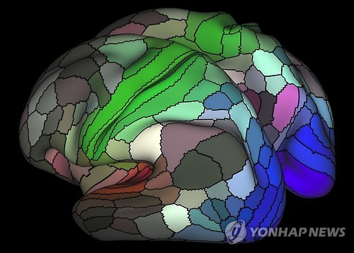 미국 워싱턴대와 미네소타대, 영국 옥스퍼드대 등 국제공동연구진이 대뇌피질을 180개 영역으로 나눠 각 영역의 기능을 정리해 2016년 7월 21일 발표한 한 뇌지도. 기사의 특정 내용과는 무관함.[Matthew Glasser, David Van Essen, Washington University 제공=연합뉴스 자료사진]