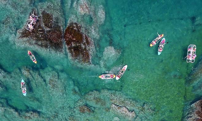 강원도 삼척 장호항에서 투명카누를 즐기는 사람들의 모습을 드론으로 촬영했다. 하늘에서 내려다보니, 옥빛 바다가 더욱 눈부시다. [사진 장문기]