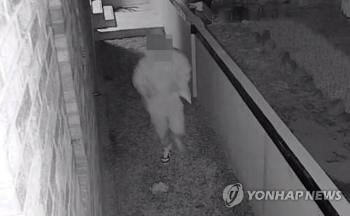 2월 경남 창원 일대에서 여성을 상대로 '음란행위'를 하다 검거된 속칭 '노란패딩 바바리맨'의 CCTV 모습.