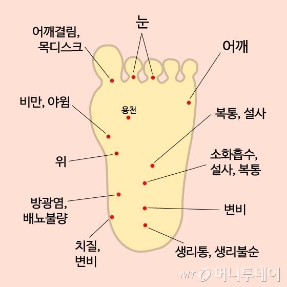 /그래픽=마채림 기자