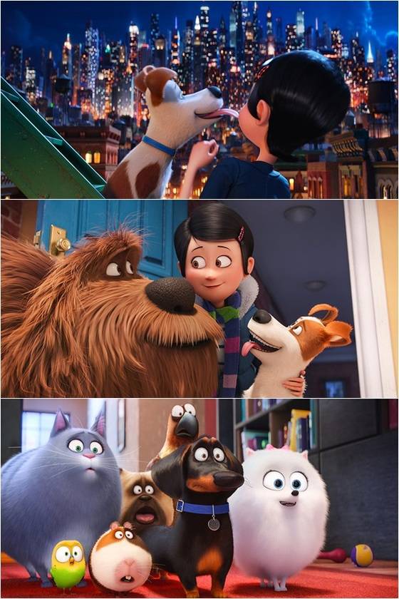 '마이펫의 이중생활'이 오는 3일 개봉한다. © News1star / 영화 '마이펫의 이중생활' 스틸