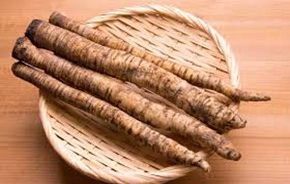 사진제공/ 제스프리