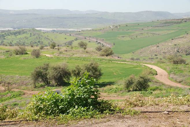 갈릴리 호수 주변의 산촌 풍경. 예수도 저런 언덕에 난 길들을 걸으며 설교를 했다. 길 옆에는 지금도 이런저런 밭들이 보인다.