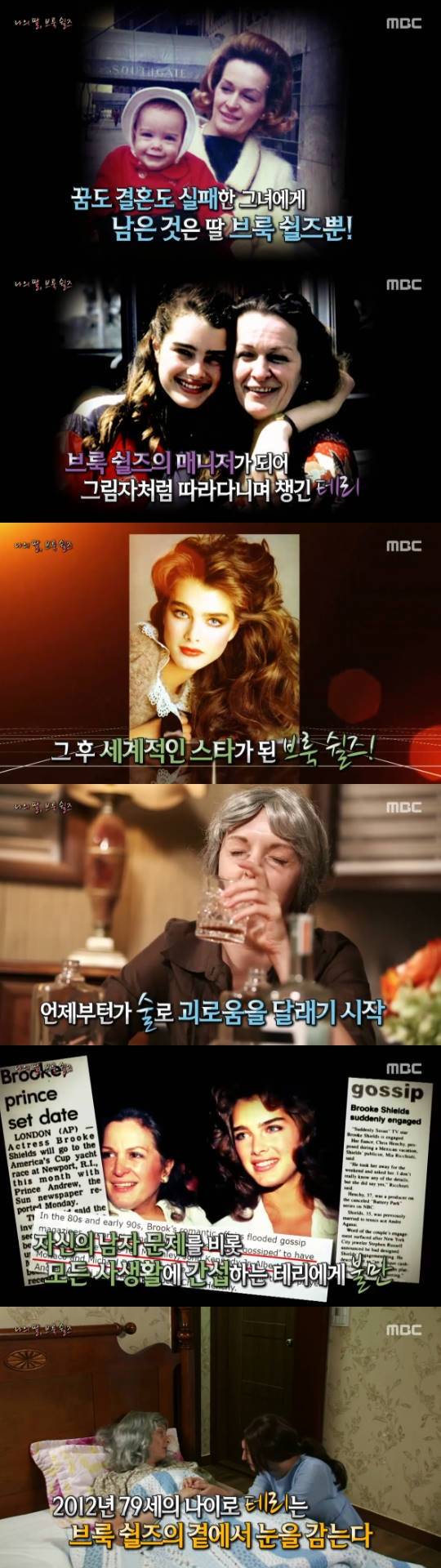 브룩 쉴즈, 테리 쉴즈, 서프라이즈