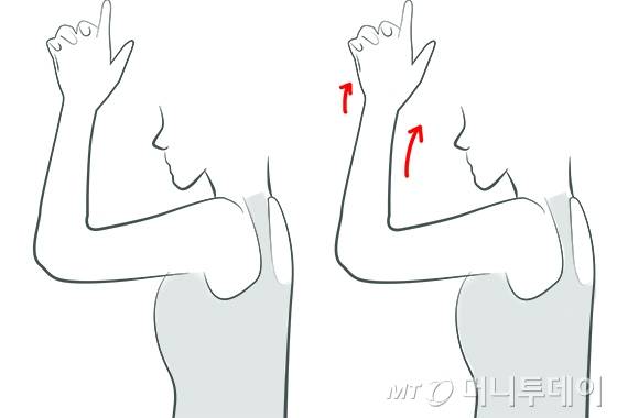 /일러스트=이은 기자