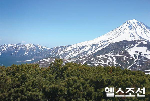 [헬스조선]러시아 캄차카 반도의 한낮 기온이 25도 이상으로 올라간 지난 6월, 눈쌓인 무트노프스키 화산(해발 2322m) 전경. 지난 2000년 화산 폭발이 있었다. 주변에 화산에서 분출된 물이 흐르는 간헐 온천이 많다.