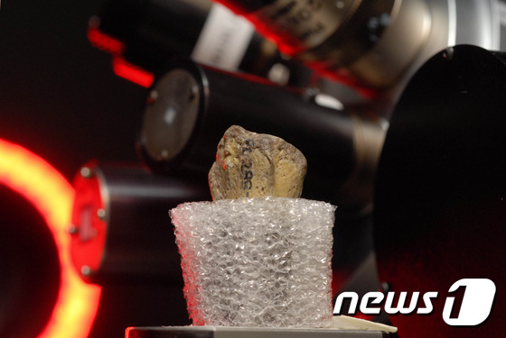 루시의 손목 뼈가 CT스캔을 받고 있다. © AFP=뉴스1