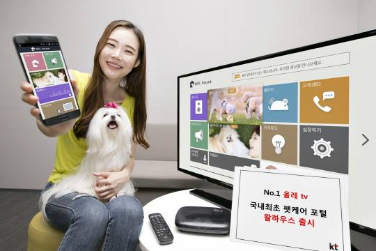 KT는 IPTV 서비스 올레TV를 통해 반려동물과 가족을 위한 펫 케어 포털 ‘왈하우스’ 서비스를 출시한다고 2일 밝혔다. <br /> ⓒKT.