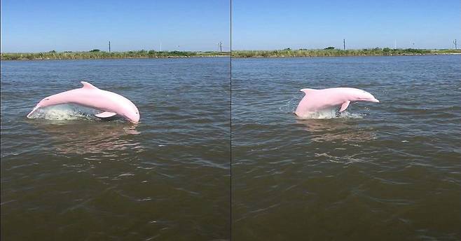 [써니스카이즈 캡쳐]