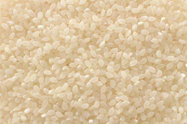 밥맛에는 도정도 중요하다. 사진은 백미로 완전히 도정한 것. 깨지거나 흠난 데가 없어야 한다. 게티이미지뱅크